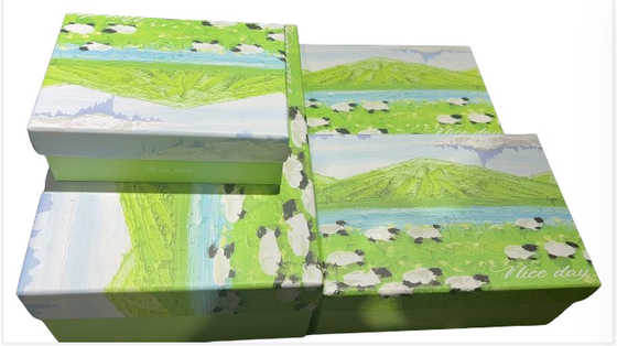 Güzel Şablon Flip Top Hediye Kutusu Özel Sıkı Karton Şık Tasarım