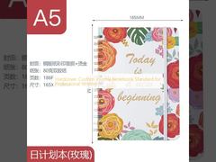 Sert Kapaklı Özel Günlük Defteri Profesyonel Yazım için Standart